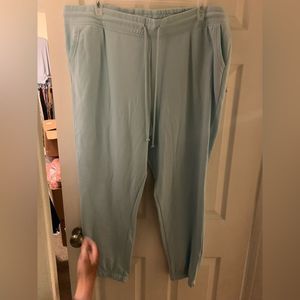 NWT Plus Size Mint Jogger Pants